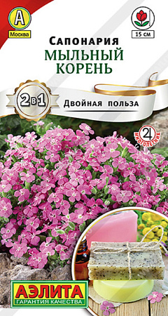 Семена сапонарии  Мыльный корень /мыльнянка/