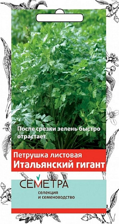 Семена петрушки Итальянский Гигант