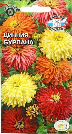 Семена циннии Бурпана
