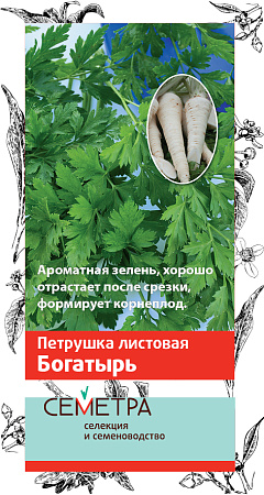 Семена петрушки Богатырь Семетра