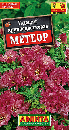 Семена годеции Метеор крупноцветковая