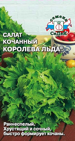 Семена салата Королева льда айсберг 0,5г