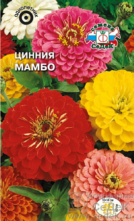 Семена циннии Мамбо