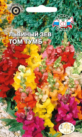 Семена Львиного зева Том Тумб