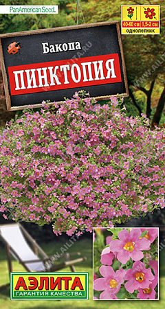 Семена бакопы Пинктопия 