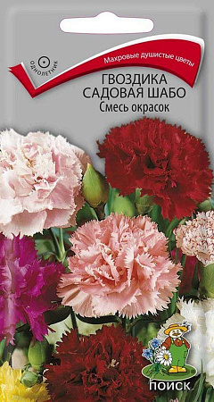 Семена гвоздики Шабо Смесь Семена гвоздики Шабо Смесь