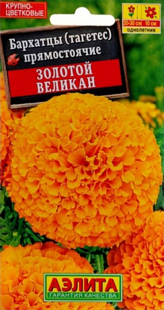 Семена бархатцев Золотой Великан