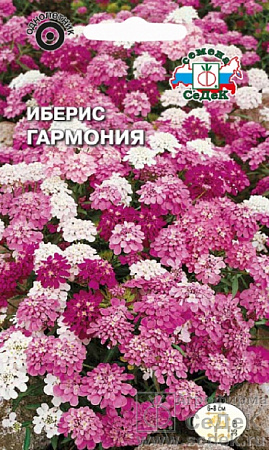 Семена ибериса Гармония 